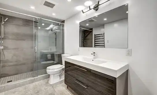 bathroom services Palmhurst